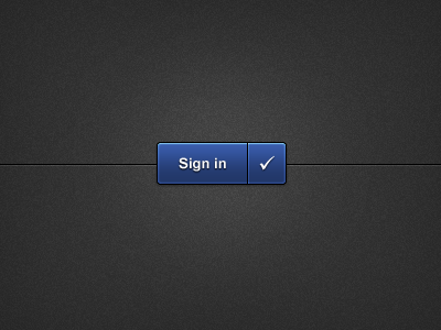 Sign in Button blue button in sign