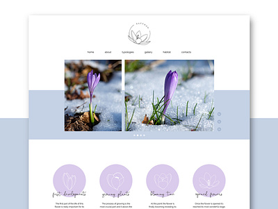 Saffron Web Design - Homepage flowers homepage outline ui web design website