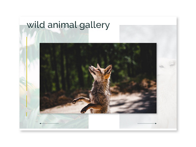 UI Daily Challenge 072 - Image Slider