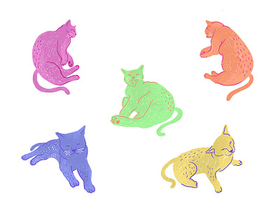 Cats Drawing animal brush design drawing graphic design illustration illustrator procreate