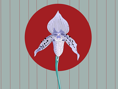 Iris contrast cover dots flower illustation iris linework modernart postcard print violet