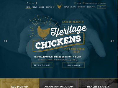 University of Alberta Heritage Eggs typography ui ux web web design