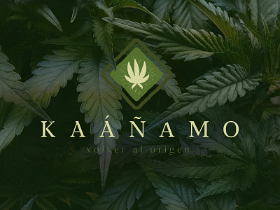 Kaanamo branding design illustration. logo logo design