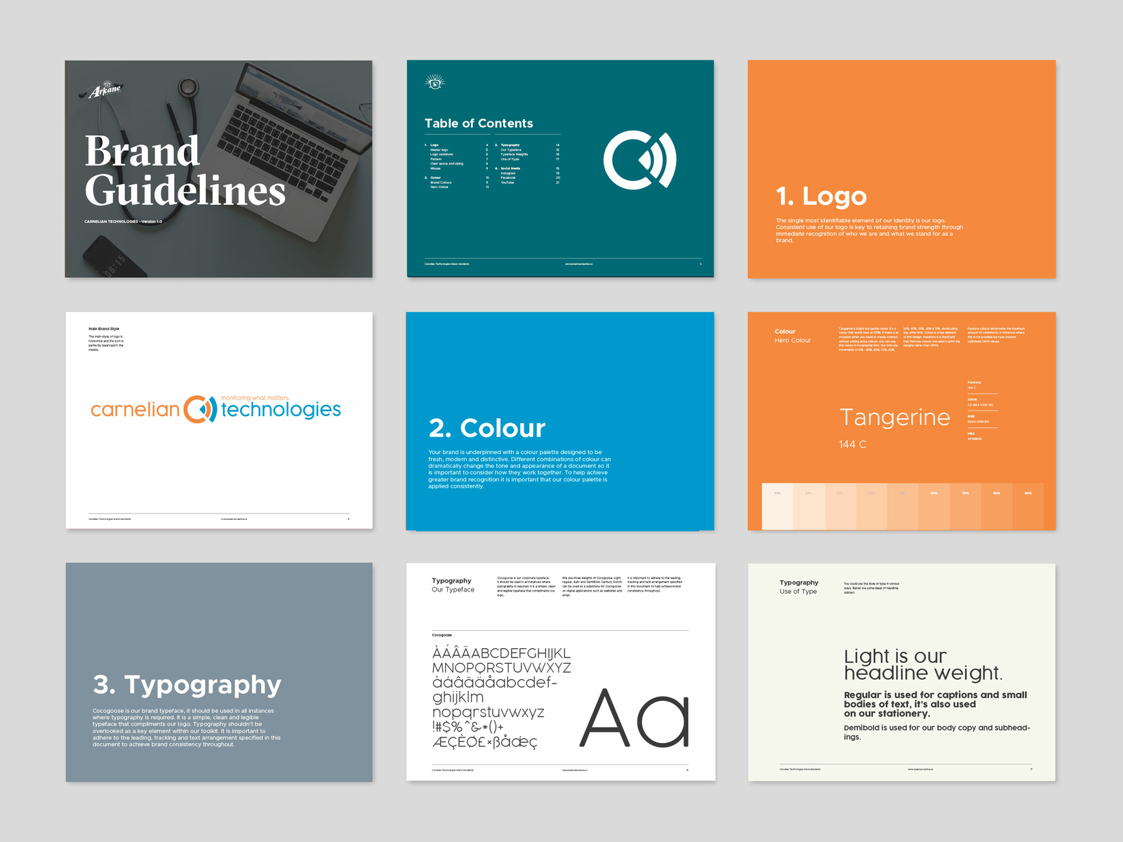 Carnelian Technologies Guidelines by Arkane Creative on Dribbble