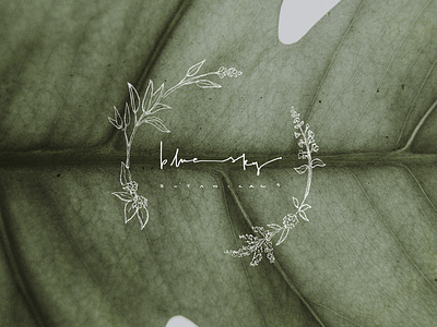 Blue Sky Botanicals Logo branding design icon illustration logo typography