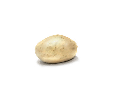 Potato