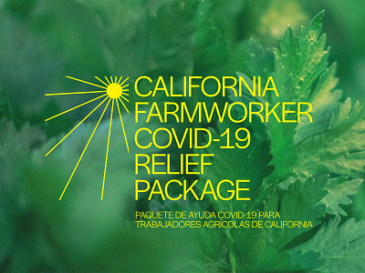 California Farmworker COVID-19 Relief Package branding design graphic design logo politics