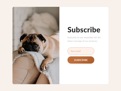 Daily UI #026 - Subscribe daily 100 challenge dailyui newsletter page subscribe
