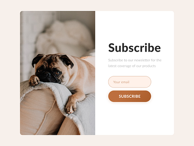 Daily UI #026 - Subscribe