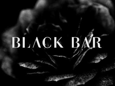 Black Bar Logo black blackbar branding bw fashion logo luxury