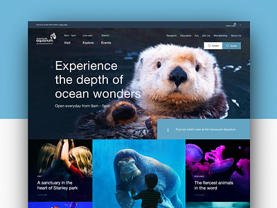 Vancouver Aquarium: Platform Redesign platform ui ux web web design website