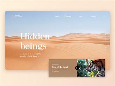 National Geographic - UI Design aurora blog desert design desktop hero banner homepage landing landingpage light minimal nat geo national geographic tablet ui ui design ux ux design webdesign webdesigns