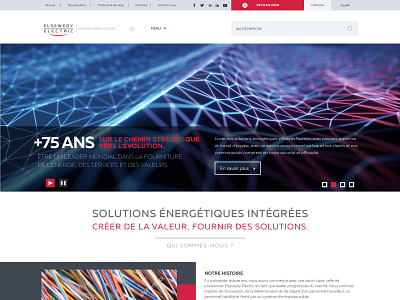 Web Design - Elsewedy Electric adobe illustration ui ux design web webdesign