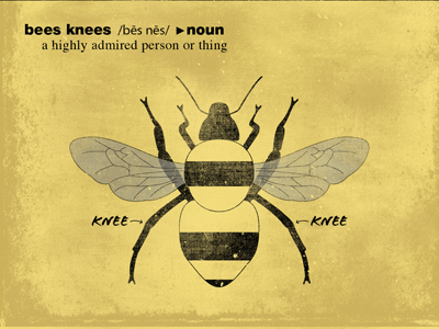 Bees Knees 30doc bee diagram illustration