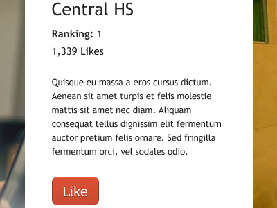 Central HS button orange website white