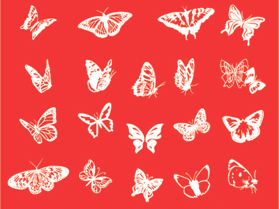 fully vector Butterflies icon