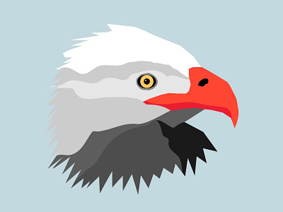 Eagle Rough Illo eagle illustration minimal rough