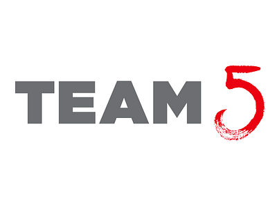 team5 logo aerial brushlettering handlettering lettering logo