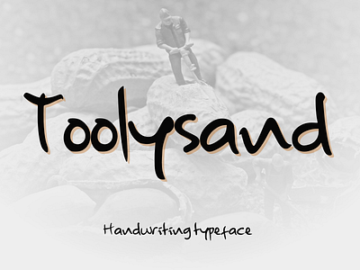 Toolysand branding design