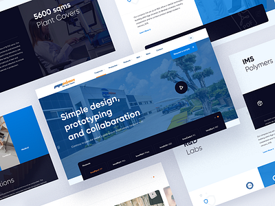 IMS Polymers Web Project peakment ui design ux webdesign