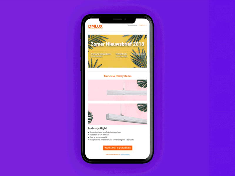 Mailchimp Newsletter summer design newsletter summer design mailchimp