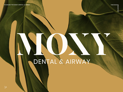 Re-Brand for Moxy Dental & Airway art direction brand identity branding business card design healthcare logo wellness