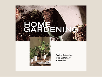 Gardening — 01 design ecommerce interface typography ui web website