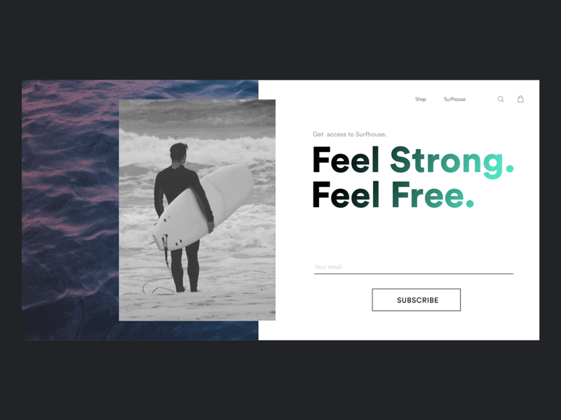 Surftracker — 02 animation design typography ui web website