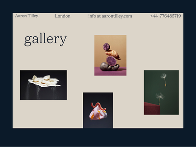 Aaron Tilley · Gallery design interface minimal typography ui web website