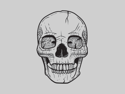 Skull death halloween illustration skull