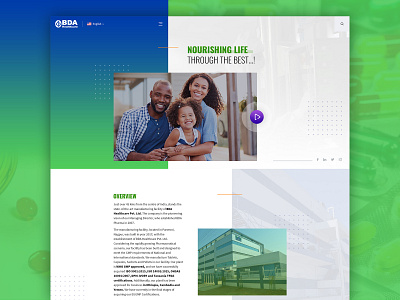 BDA Heathcare - Website Design