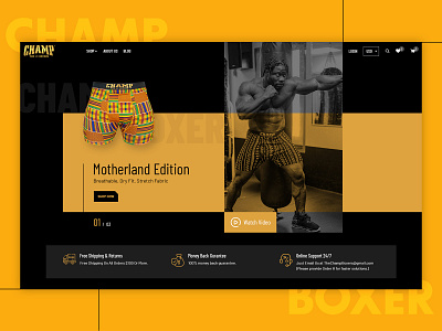Champ Boxer Website Design clean ui creative creative design latest trend ui design web design webdesign website website design