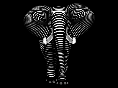 Elephant Lines