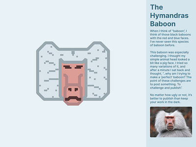 Hymandra Baboon animal baboon challenge icon iconography icons illustration ui uichallenge