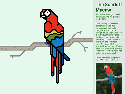 Scarlett Macaw animal bird birds figma icon illustration logo macaw parrot parrots red scarlett