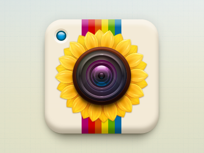 Camera camera icon sunflower