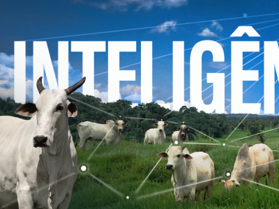 Fertili - Inteligencia pecuária - ad cattle fertili page cover