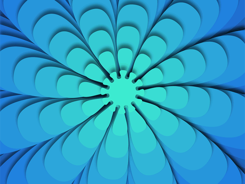 Flower 2.4 / Shadow Me / Mezmerization animation gif gifs hypnosis illusion loop magic mesmerize motion opart sitandstare