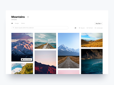 Asset Library assets card collection desktop filter images library media photos search stackla ui ux
