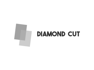 Diamond Cut business design gimp graphic graphic design graphic design graphicdesgn inkscape logo logo a day logo design logodesign logodesigner vector