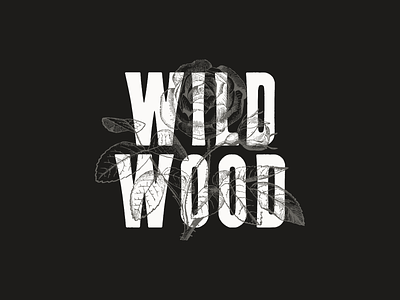 Wildwood font letterpress type typeface typography wood type