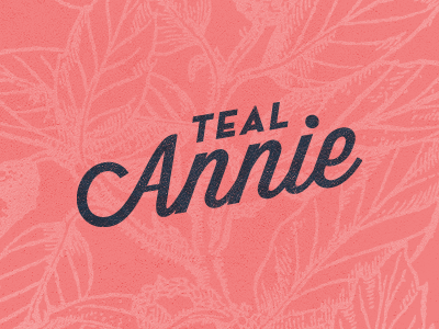 Teal Annie branding identity logo neutra teal annie wisdom
