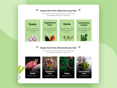 Organic Farm - Categories content crop design exotic food herbs homepage illustration landing page typography ui ux vector web