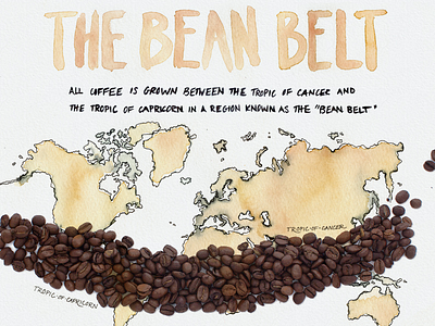 bean belt coffee coffee beans facts illustration infographic map watercolor world