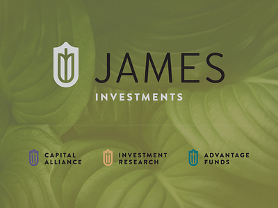 James Identity branding branding system growth identity investments james logo