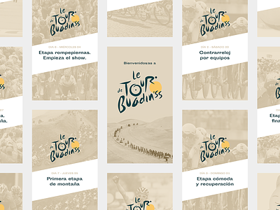 Buadin'ss /Stories ads design branding campaign communication desert design social media stories tour