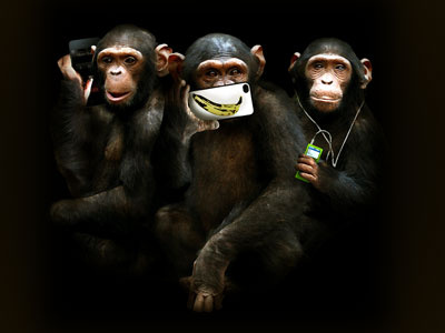 speak, see, hear no evil chimp chimpanzee evil iphone ipod monkey technology
