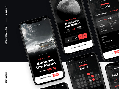 #SPACEDChallenge - App Concept