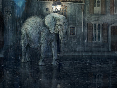 Elephant on a Rainy Evening cobblestone elephant rainy reflections subdued