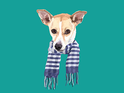 Fierce cozy dog jack russel terrier scarf winter
